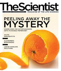 The Scientist February 2012 Cover