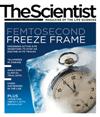 The Scientist May 2012 Cover