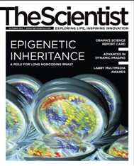 The Scientist October 2012 Cover