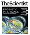 The Scientist October 2012 Cover