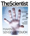 The Scientist September 2012 Cover