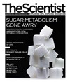 The Scientist December 2012 Cover