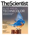 The Scientist February 2013 Cover