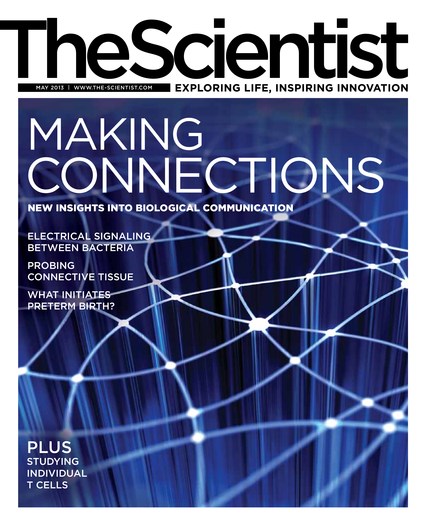 The Scientist May 2013 Cover