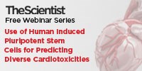 Use of Human Induced Pluripotent Stem Cells for Predicting Diverse Cardiotoxicities image: Use of Human Induced Pluripotent Stem Cells for Predicting Diverse Cardiotoxicities