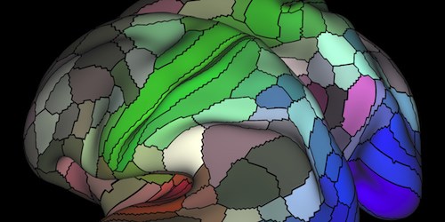 human connectome: human connectome projects – PDXMIV
