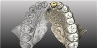 image: Jawbone Fossil Suggests Humans Left Africa Earlier than Previously Believed