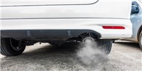 image: German Carmakers Funded Tests of Diesel Fumes on Monkeys and Humans