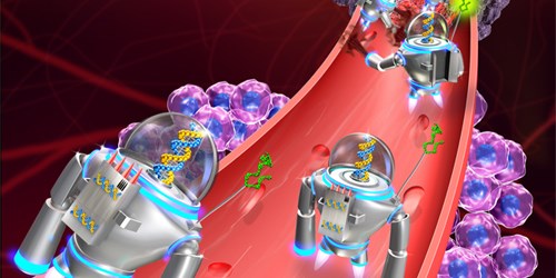 DNA Robots Target Cancer