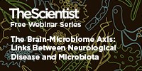 The Brain-Microbiome Axis: Links Between Neurological Disease and Microbiota image: The Brain-Microbiome Axis: Links Between Neurological Disease and Microbiota